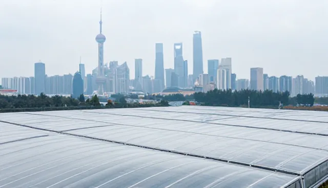 微信公众号怎么开发:避免常见误区