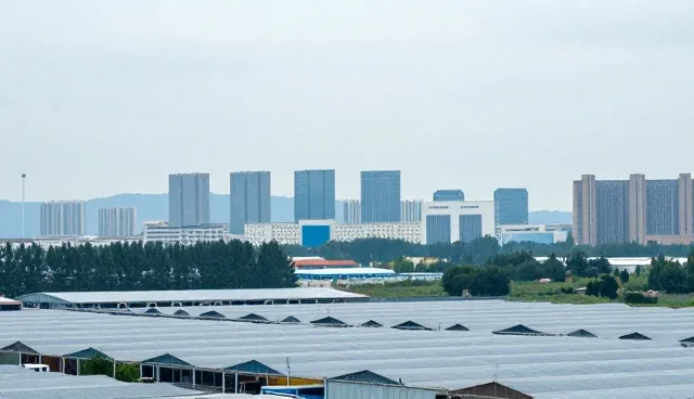 国外网站建设的两种做法对比及其实际取舍
